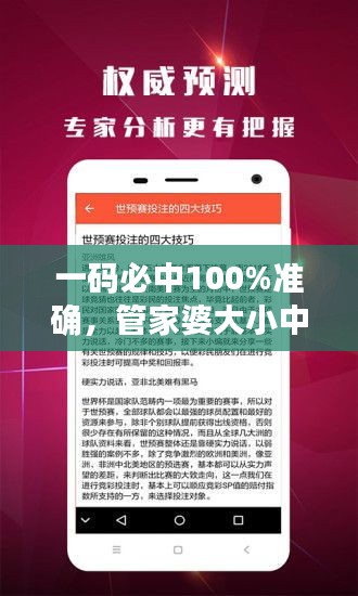 一碼必中100%準確，管家婆大小中特解析，戶外版ZNA113.77深度剖析