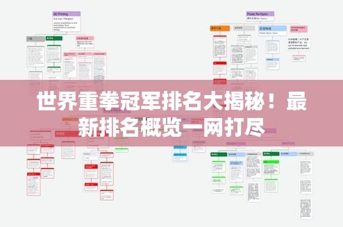 世界重拳冠軍排名大揭秘！最新排名概覽一網(wǎng)打盡