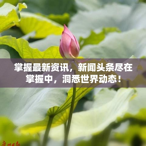 掌握最新資訊，新聞頭條盡在掌握中，洞悉世界動態(tài)！