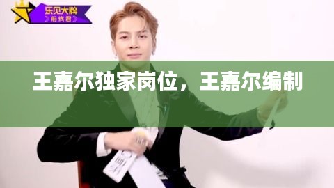 王嘉爾獨家崗位，王嘉爾編制 
