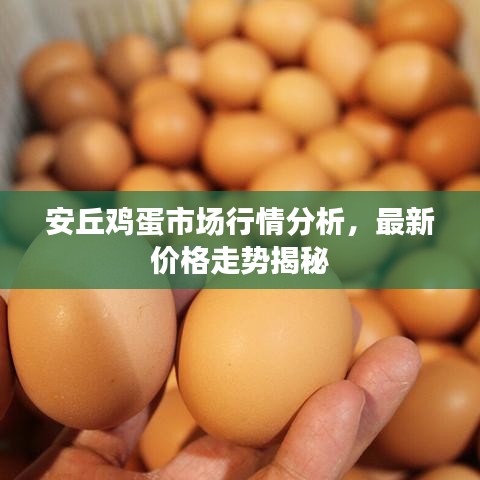安丘雞蛋市場行情分析，最新價格走勢揭秘