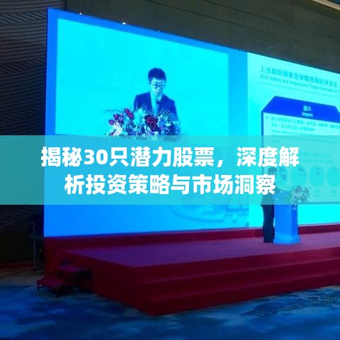 揭秘30只潛力股票，深度解析投資策略與市場洞察