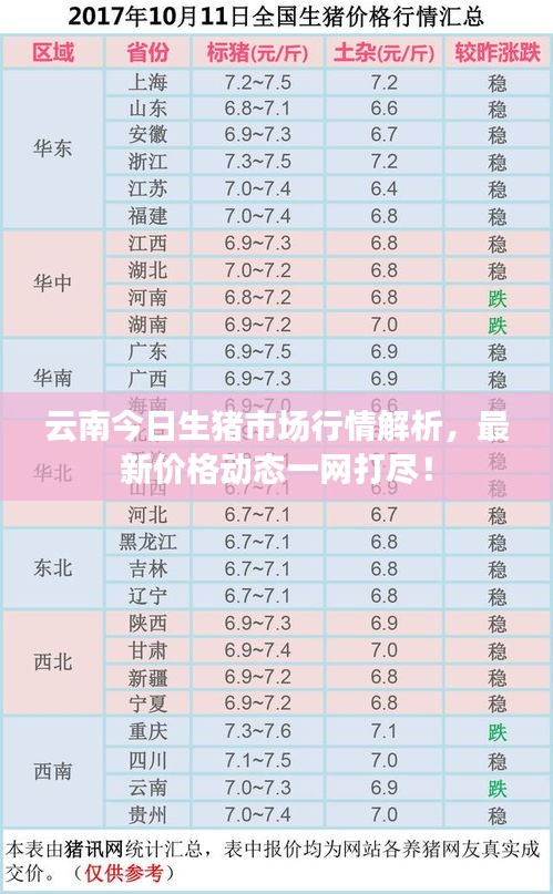 云南今日生豬市場行情解析，最新價格動態(tài)一網(wǎng)打盡！