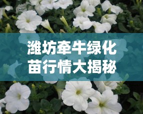 濰坊牽牛綠化苗行情大揭秘，最新價格分析與趨勢預(yù)測