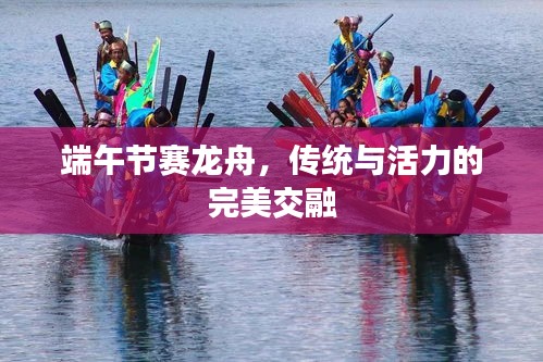 端午節(jié)賽龍舟，傳統(tǒng)與活力的完美交融
