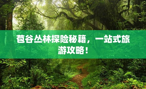 苞谷叢林探險(xiǎn)秘籍，一站式旅游攻略！