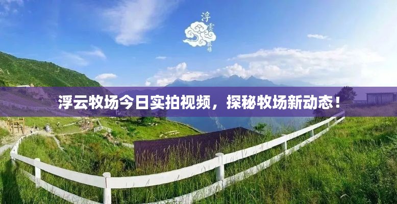 浮云牧場(chǎng)今日實(shí)拍視頻，探秘牧場(chǎng)新動(dòng)態(tài)！
