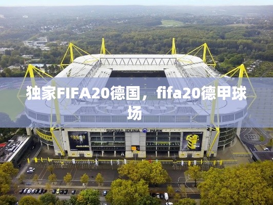 獨(dú)家FIFA20德國(guó)，fifa20德甲球場(chǎng) 