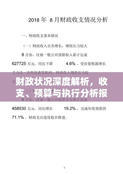 財(cái)政狀況深度解析，收支、預(yù)算與執(zhí)行分析報(bào)告