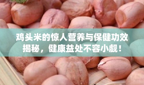 雞頭米的驚人營養(yǎng)與保健功效揭秘，健康益處不容小覷！