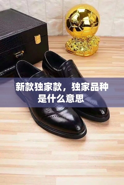 新款獨家款，獨家品種是什么意思 