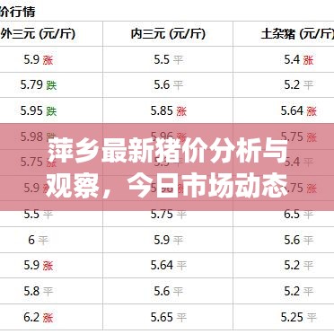 萍鄉(xiāng)最新豬價分析與觀察，今日市場動態(tài)揭秘