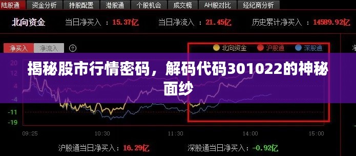 揭秘股市行情密碼，解碼代碼301022的神秘面紗