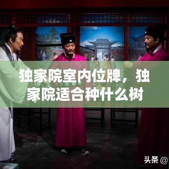 獨(dú)家院室內(nèi)位牌，獨(dú)家院適合種什么樹 