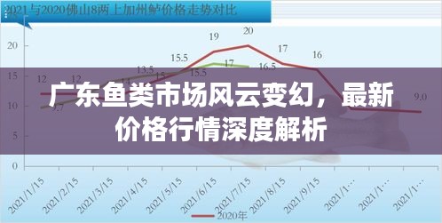 廣東魚類市場(chǎng)風(fēng)云變幻，最新價(jià)格行情深度解析