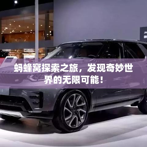 螞蜂窩探索之旅，發(fā)現(xiàn)奇妙世界的無限可能！