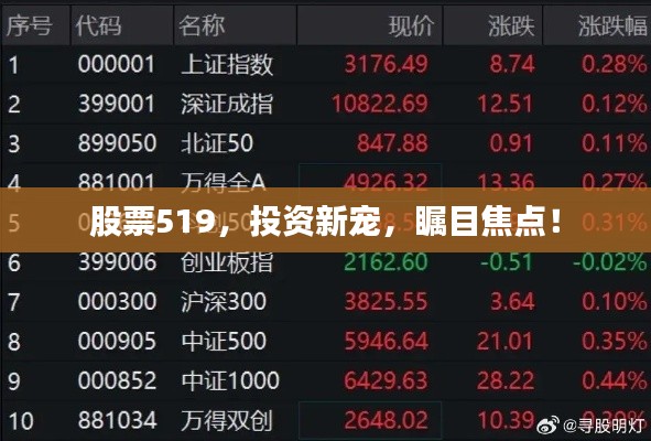 股票519，投資新寵，矚目焦點！