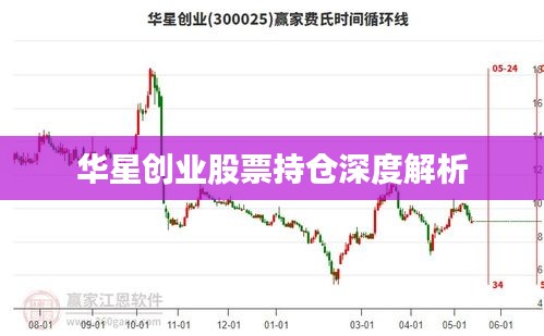 華星創(chuàng)業(yè)股票持倉(cāng)深度解析