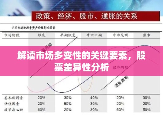 解讀市場多變性的關(guān)鍵要素，股票差異性分析