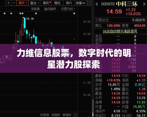 力維信息股票，數(shù)字時(shí)代的明星潛力股探索