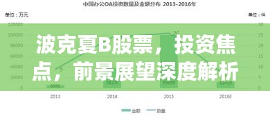 波克夏B股票，投資焦點，前景展望深度解析