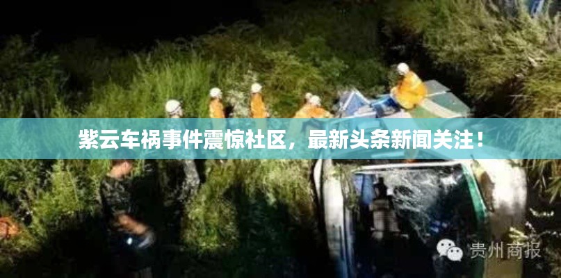 紫云車禍?zhǔn)录痼@社區(qū)，最新頭條新聞關(guān)注！