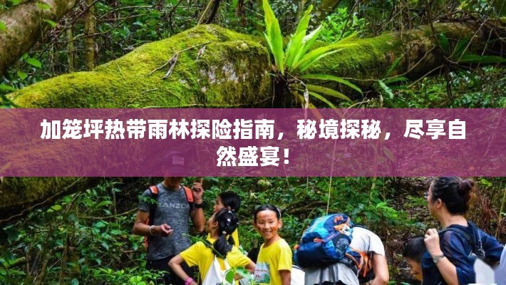 加籠坪熱帶雨林探險指南，秘境探秘，盡享自然盛宴！