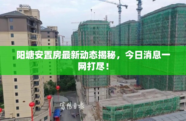 陽(yáng)塘安置房最新動(dòng)態(tài)揭秘，今日消息一網(wǎng)打盡！