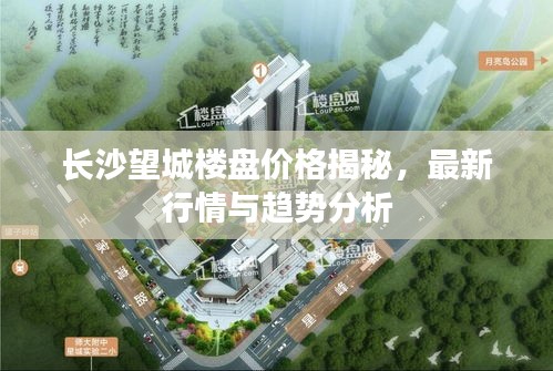 長沙望城樓盤價(jià)格揭秘，最新行情與趨勢分析