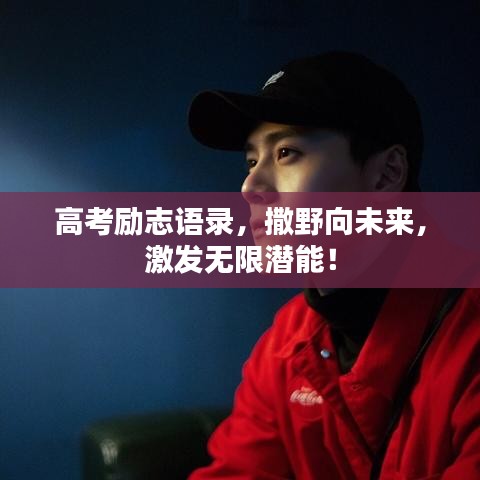 高考勵志語錄，撒野向未來，激發(fā)無限潛能！