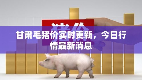 甘肅毛豬價(jià)實(shí)時(shí)更新，今日行情最新消息