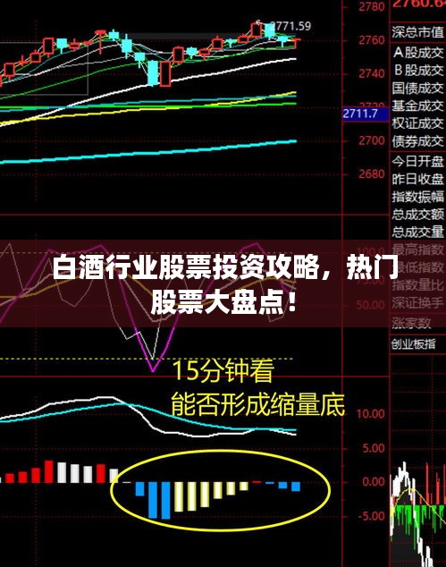 白酒行業(yè)股票投資攻略，熱門股票大盤點(diǎn)！