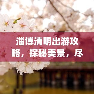 淄博清明出游攻略，探秘美景，盡享文化盛宴！