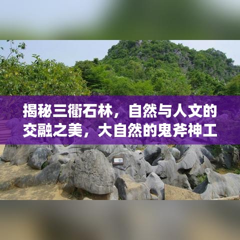 揭秘三衢石林，自然與人文的交融之美，大自然的鬼斧神工欣賞