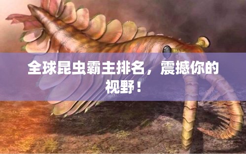 全球昆蟲霸主排名，震撼你的視野！