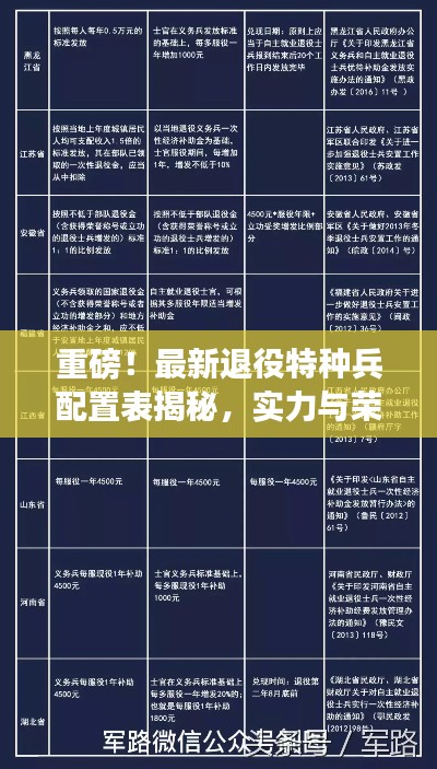 重磅！最新退役特種兵配置表揭秘，實力與榮耀并存