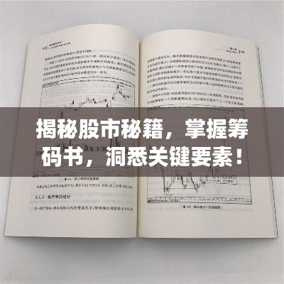 揭秘股市秘籍，掌握籌碼書(shū)，洞悉關(guān)鍵要素！