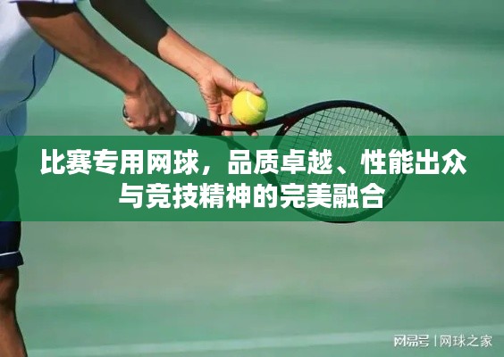 比賽專用網(wǎng)球，品質(zhì)卓越、性能出眾與競技精神的完美融合