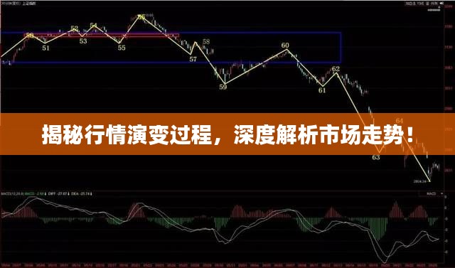 揭秘行情演變過程，深度解析市場走勢！