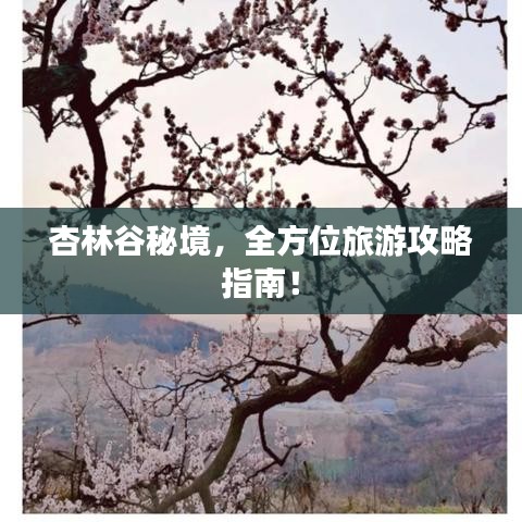 杏林谷秘境，全方位旅游攻略指南！