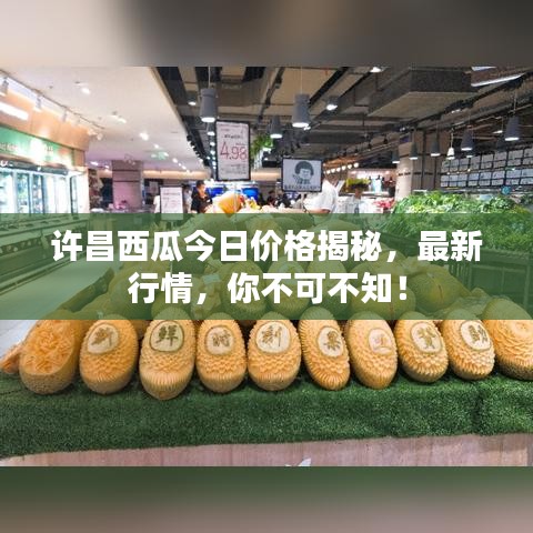 許昌西瓜今日價(jià)格揭秘，最新行情，你不可不知！