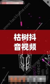 枯樹(shù)抖音視頻，探索最新版視頻世界，體驗(yàn)獨(dú)特魅力