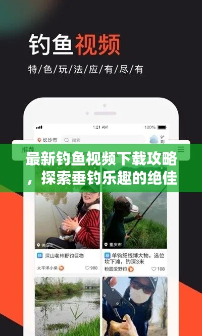 輕徙鳥舉