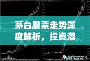 茅臺股票走勢深度解析，投資潛力與風(fēng)險洞察