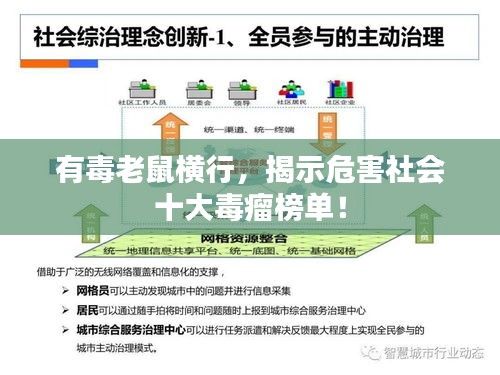 有毒老鼠橫行，揭示危害社會十大毒瘤榜單！