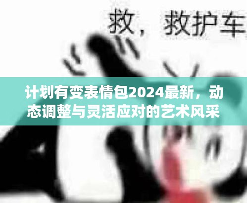 計劃有變表情包2024最新，動態(tài)調(diào)整與靈活應(yīng)對的藝術(shù)風(fēng)采