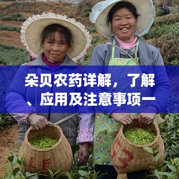 朵貝農(nóng)藥詳解，了解、應(yīng)用及注意事項一網(wǎng)打盡
