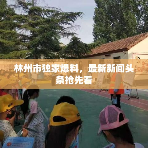林州市獨(dú)家爆料，最新新聞?lì)^條搶先看