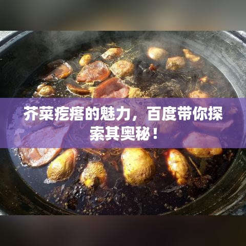 芥菜疙瘩的魅力，百度帶你探索其奧秘！