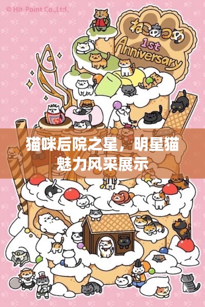 貓咪后院之星，明星貓魅力風(fēng)采展示